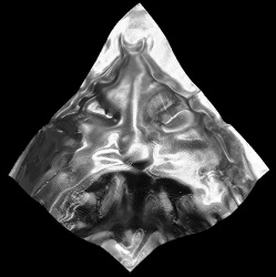 apm_tas_cap_60mm_rsz