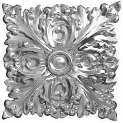 apm theatre square rose no background opt