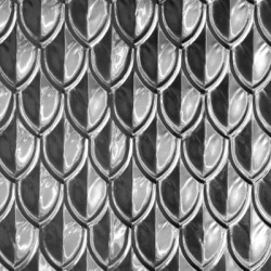 fishscale