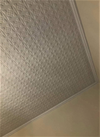 apm_gladston_ceiling_2
