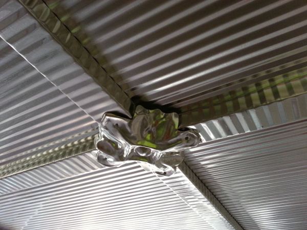 apm new rosette close up opt