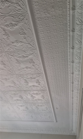 apm_sunflower_white__medindie_border_rsz