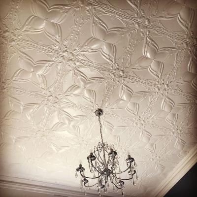 Apm Charlton Ceiling Opt