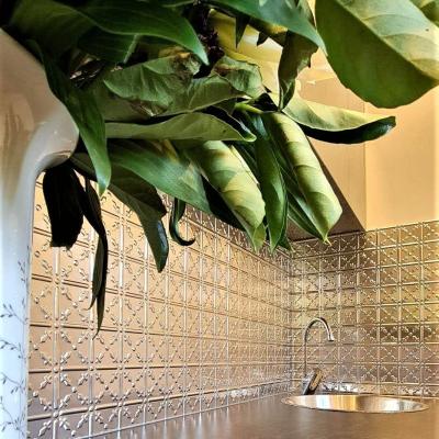 Apm Bodkin Splashback Raw 2 2